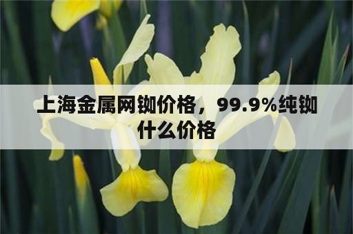 上海金属网铷价格，99.9%纯铷什么价格