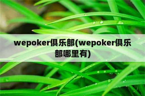 wepoker俱乐部(wepoker俱乐部哪里有)