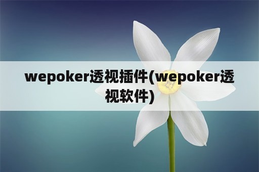 wepoker透视插件(wepoker透视软件)
