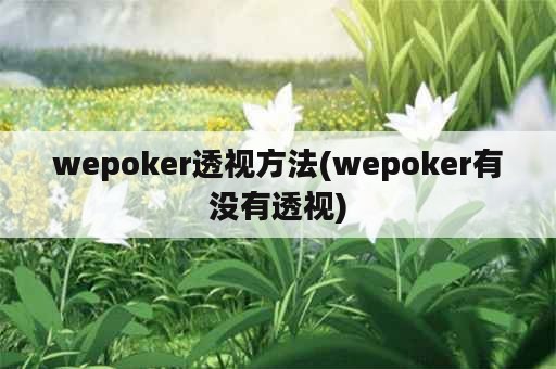 wepoker透视方法(wepoker有没有透视)