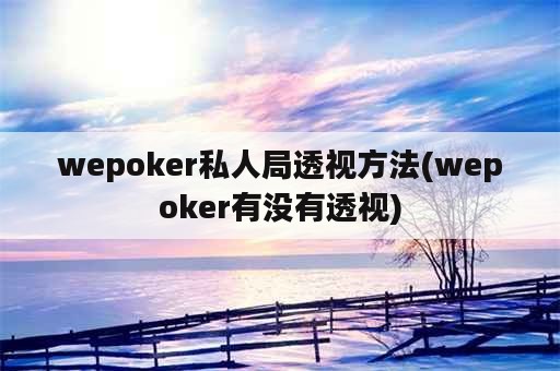 wepoker私人局透视方法(wepoker有没有透视)