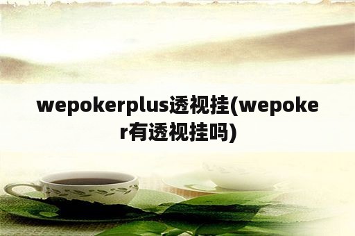 wepokerplus透视挂(wepoker有透视挂吗)