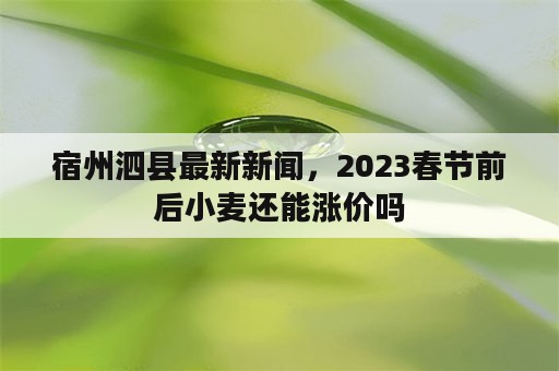 宿州泗县最新新闻，2023春节前后小麦还能涨价吗