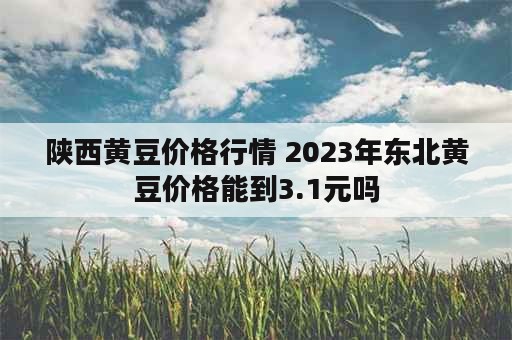 陕西黄豆价格行情 2023年东北黄豆价格能到3.1元吗