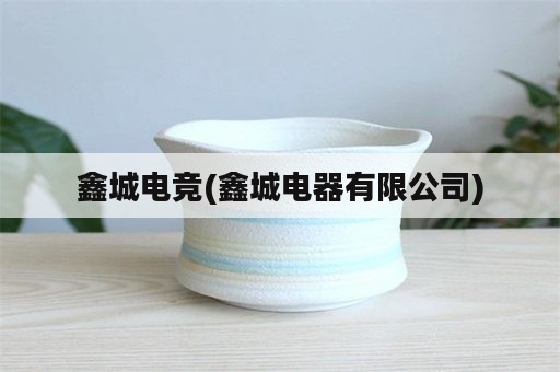 鑫城电竞(鑫城电器有限公司)