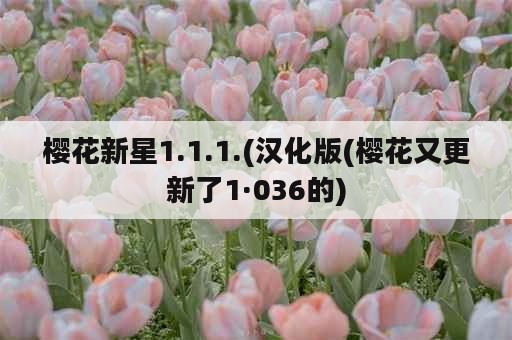 樱花新星1.1.1.(汉化版(樱花又更新了1·036的)