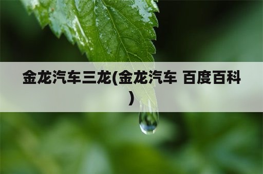 金龙汽车三龙(金龙汽车 百度百科)