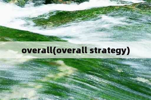 overall(overall strategy)